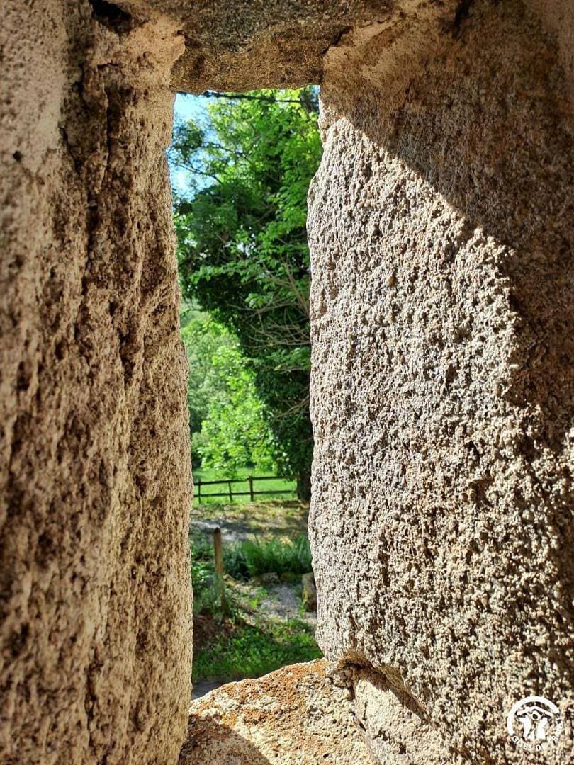 Foto 12 von 37: La Grangette de la Ginestière