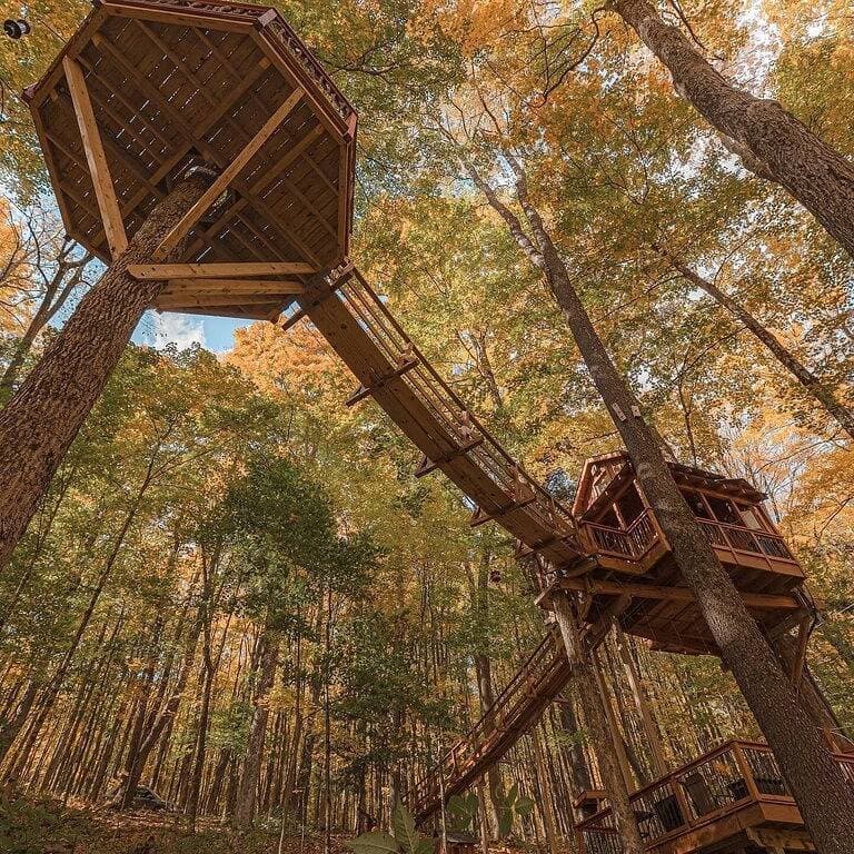 Foto 11 von 31: Das magische Baumhaus von Chez 'Tree Rest thront 35' über dem Waldboden!