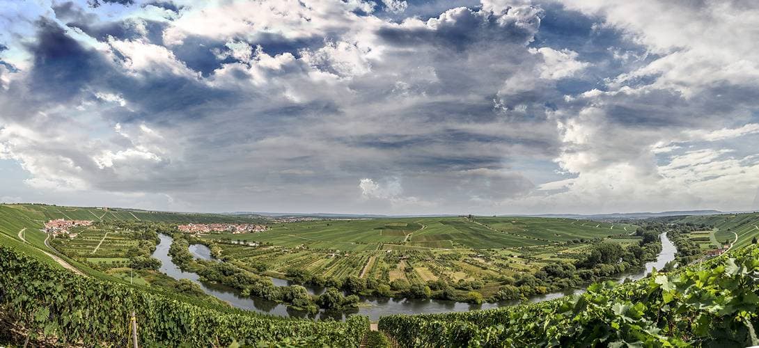 Weingut - Ferienwohnung Rudloff 1