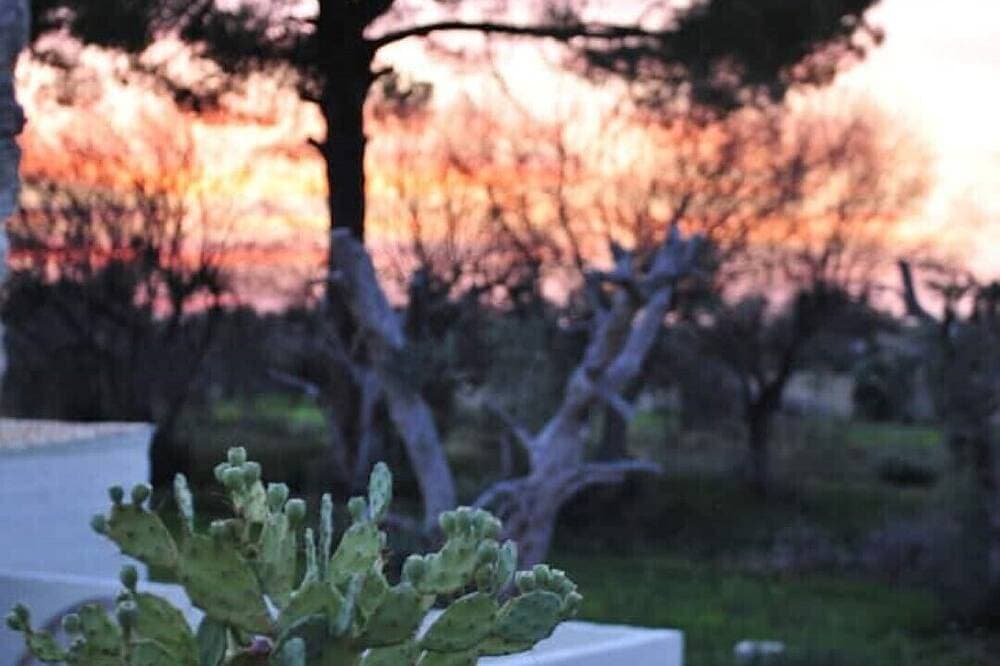 Foto 12 von 30: Masseria Don Tommaso