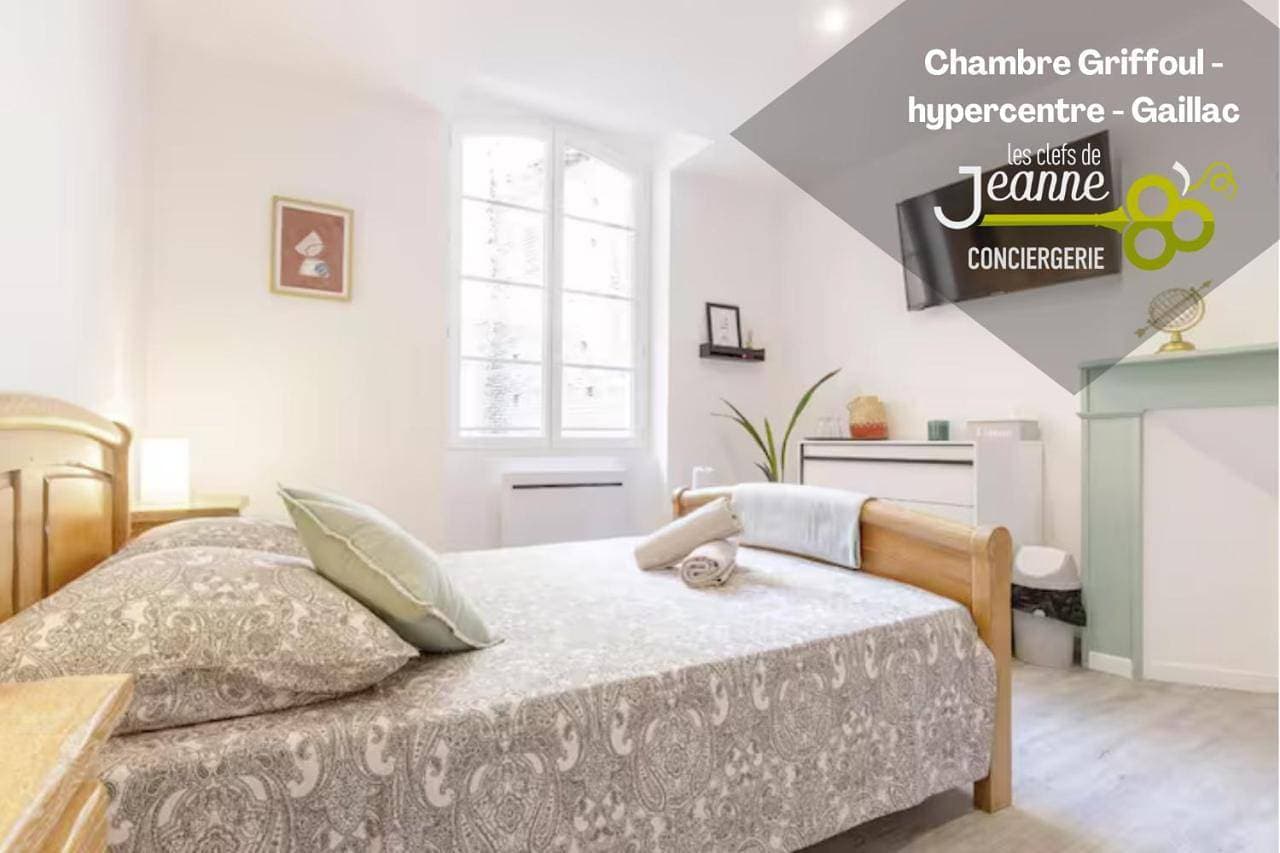 Suite Griffoul - Hypercentre de Gaillac 1