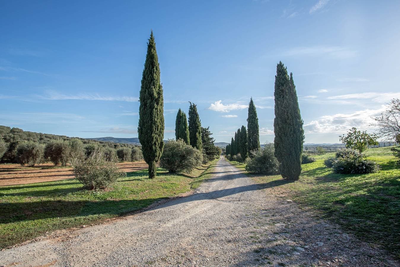 Foto 13 von 34: „Gelsomina – Agriturismo La Valentina“ mit Terrasse und WLAN