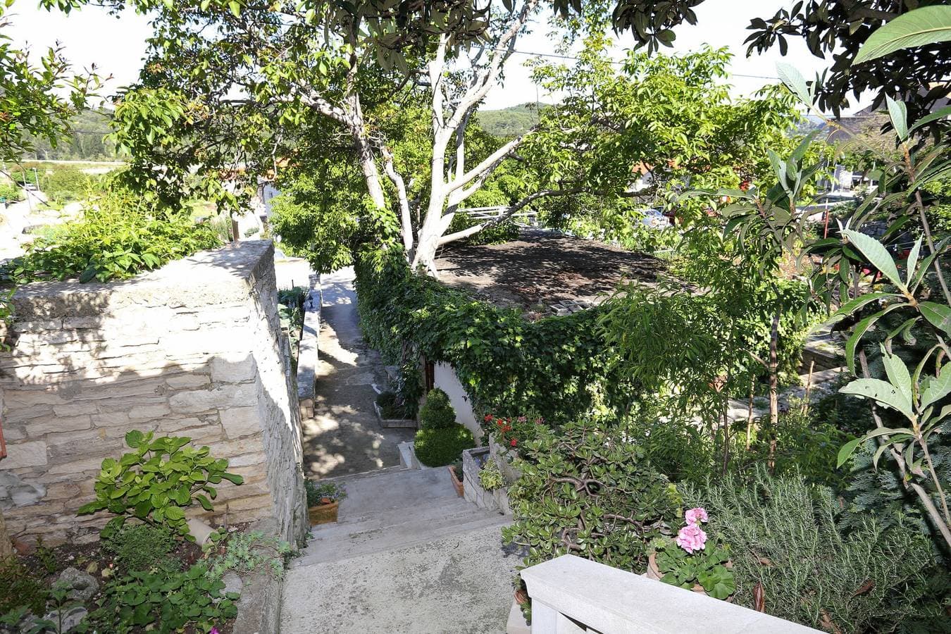Foto 10 von 40: 4-Zimmer-Haus mit Terrasse Zrnovo, Korcula K-10030