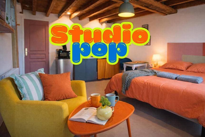 Studio Pop-25m2-Neuf et coloré - WiFi-Netflix 1