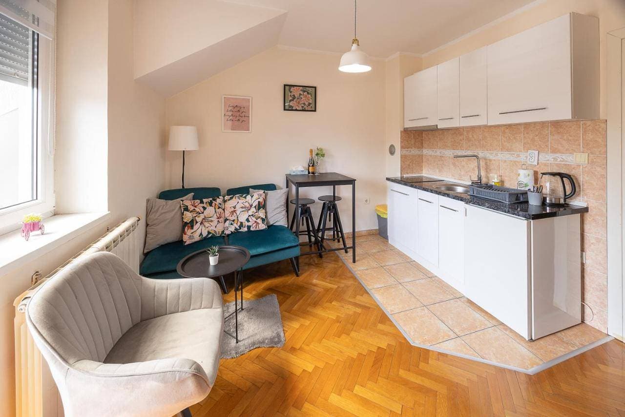 Apartment Centar lux 1