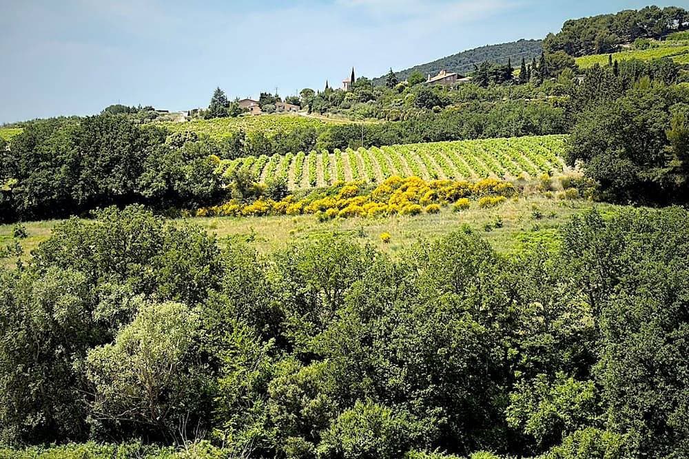 Foto 13 von 16: \"Le Colombier\" 3★ Air-Conditioned Vacation Rental - Peace and Nature in the Heart of the Vineyards