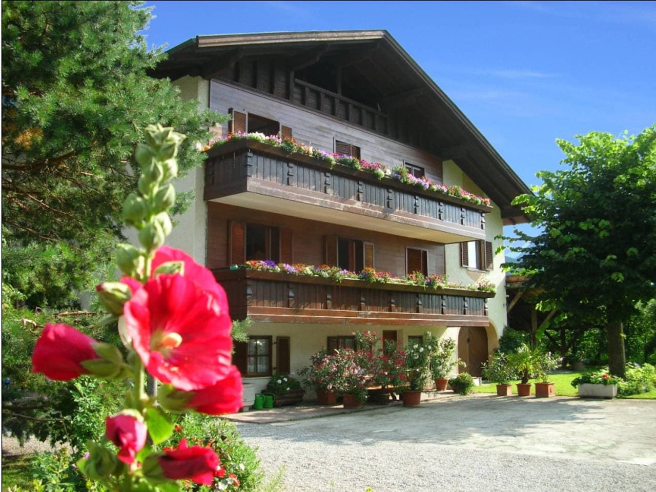 Res. Gritschhof in Latsch mit Pool & Garten 1
