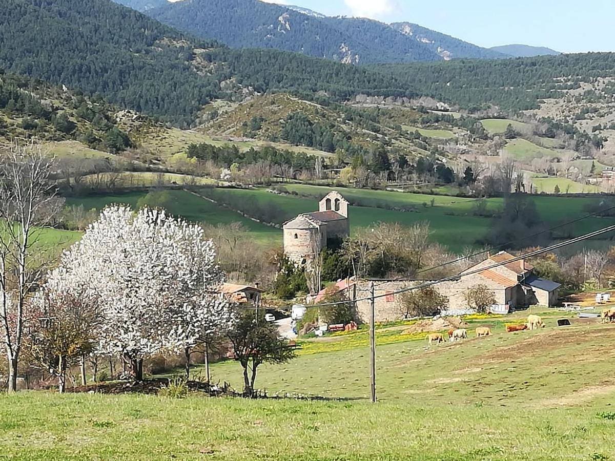 Alberg Rural La Rectoria de Pedra 1