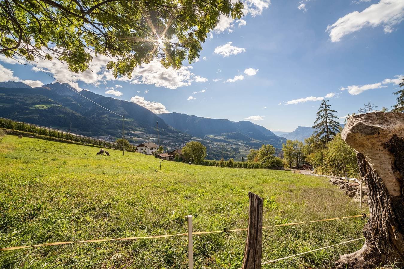 Foto 6 von 30: Apartment Belvedere mit Bergblick, Gemeinschaftspool und WLAN