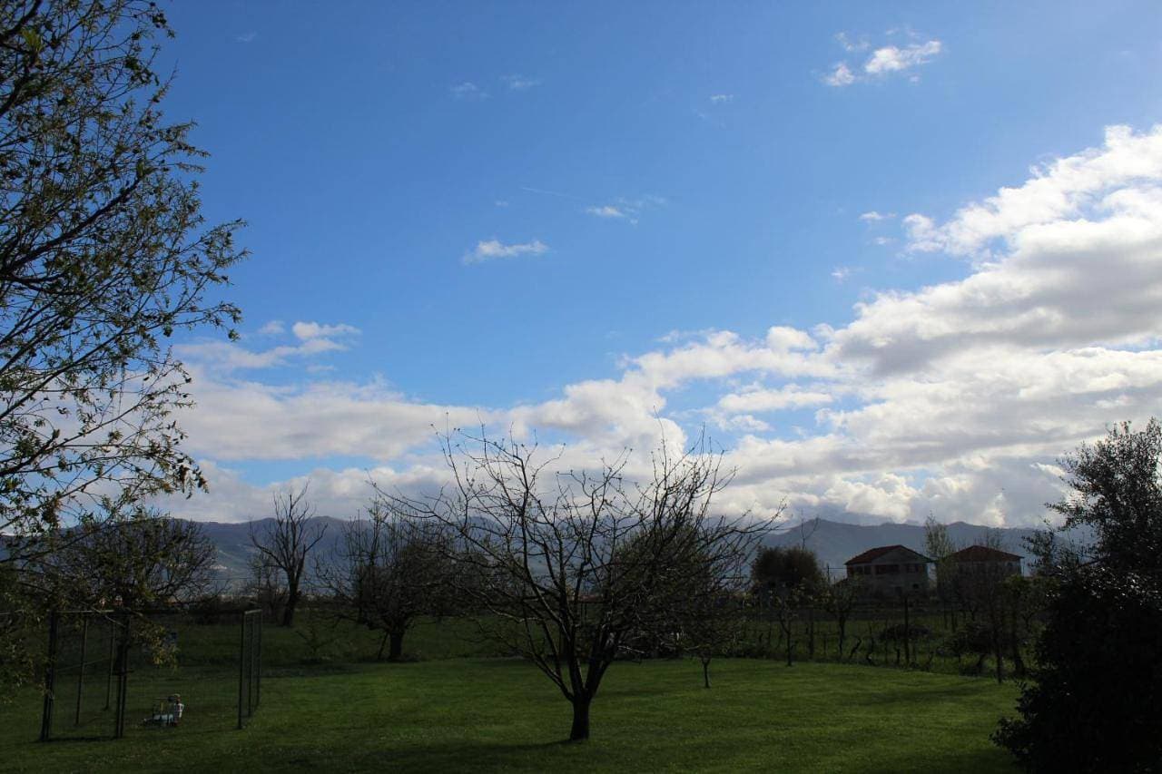 Foto 6 von 30: Holiday Home