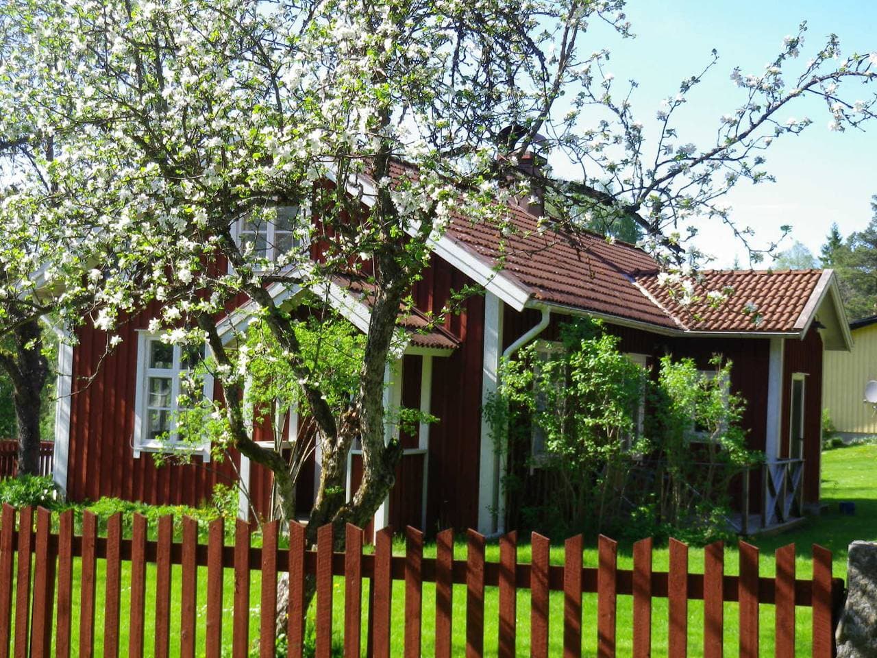 Ferienhaus am See und 15 Minuten vom Skigebiet Isaberg 1