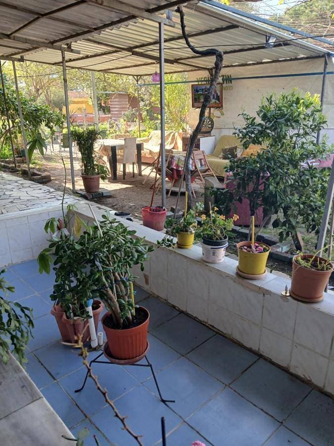 Foto 2 von 18: Studio with Garden View
