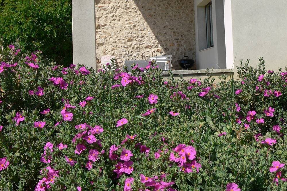 Foto 7 von 18: Les Pré-Alpes, Wohnung mit Pool auf Weinberg in Drome Provençale
