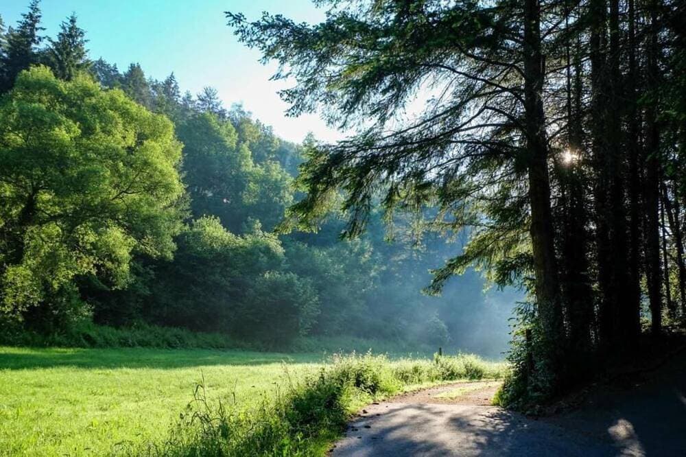 Foto 13 von 30: Feriendorf Reinskopf in der Eifel