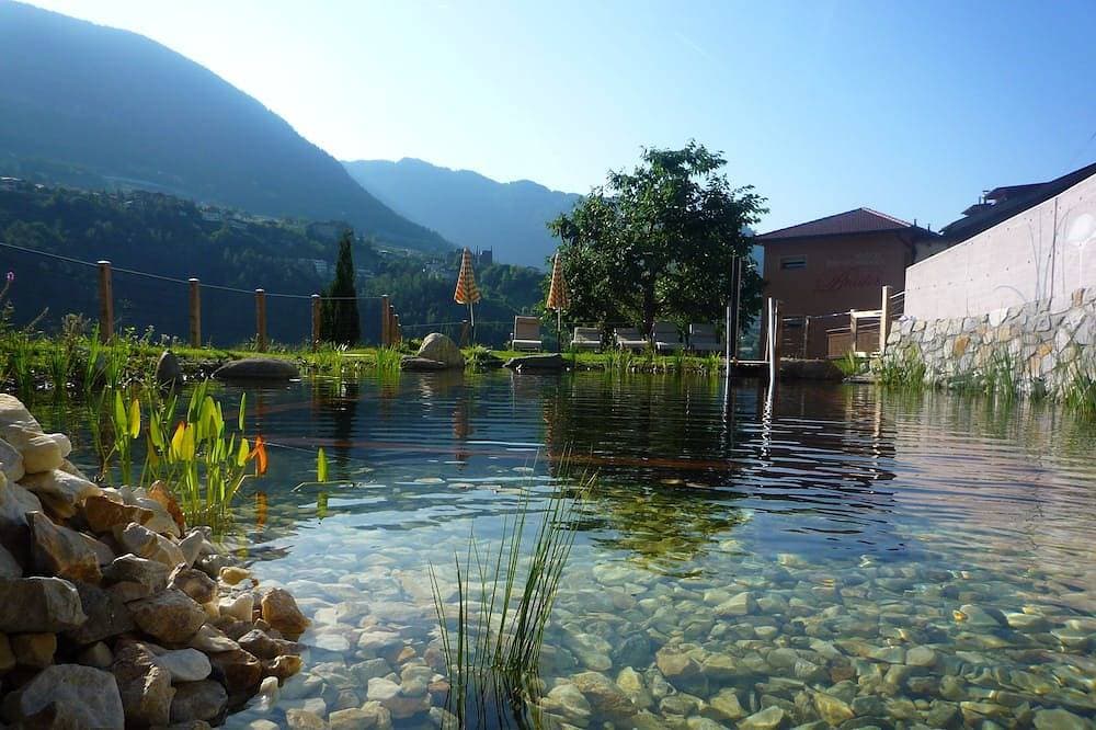 Foto 9 von 27: Ferienwohnung mit großem Panoramabalkon und biologischem Naturbadeteich
