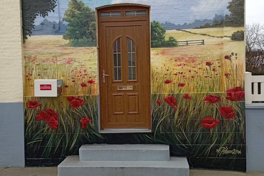Poppies in the Baie de Somme 1