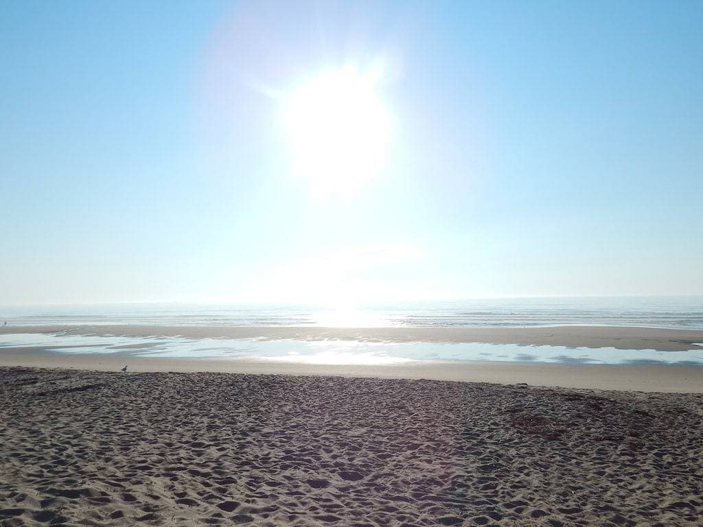 Foto 8 von 19: Romantic Oceanfront Cottage Get-Away direkt am Strand !!