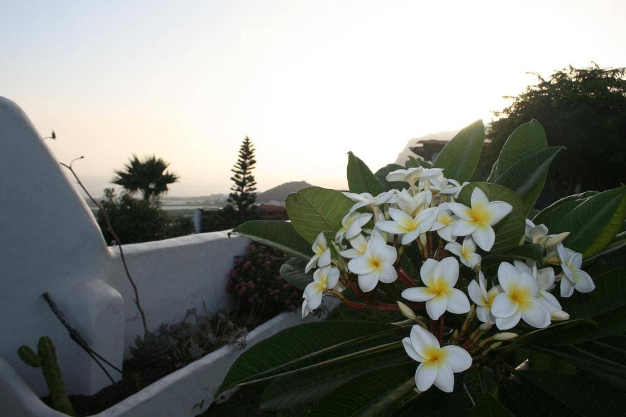 Finca-Las Mariposas 2 1