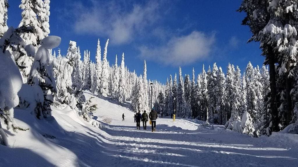 Foto 11 von 11: 2 Bd 2 Bth - Easy Ski in Ski out - Spaziergang zum Dorf