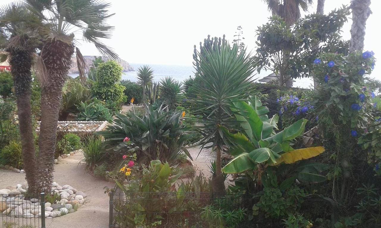 Foto 8 von 12: Studio with Sea View