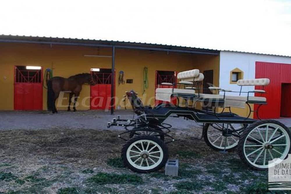 Foto 6 von 12: Landhaus mitten in der Natur