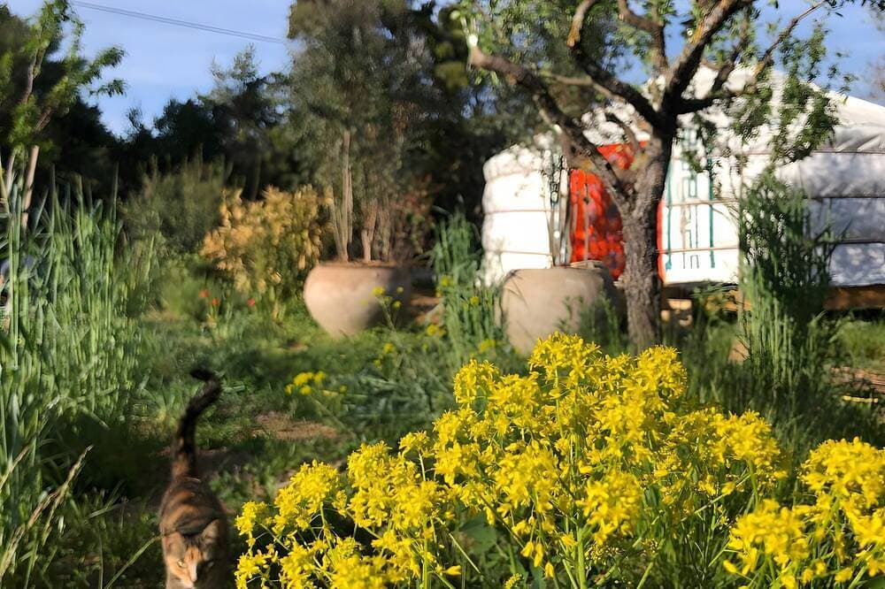 Foto 13 von 30: Ferienhaus 'Yourte Bulle De Sainte-Baume' mit WLAN
