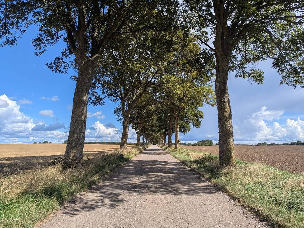 Foto 7 von 37: Meereszauber in Boged
