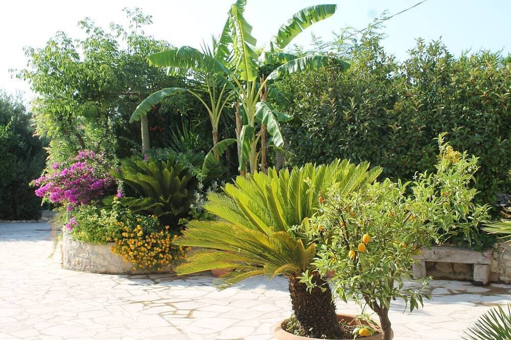 Foto 9 von 30: Schönes Feriendomizil in einem typischen sizilianischen Garten mit eigenem Pool