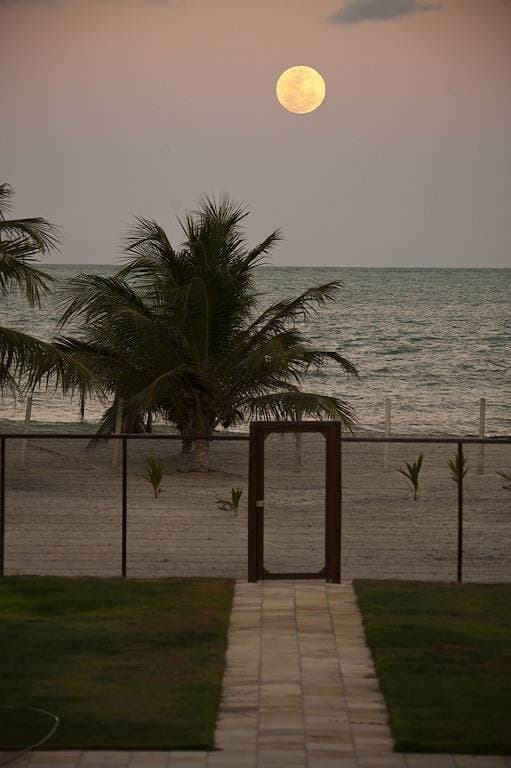 Foto 9 von 40: Manga Verde Beach 03: Blick auf Pool und Strand H