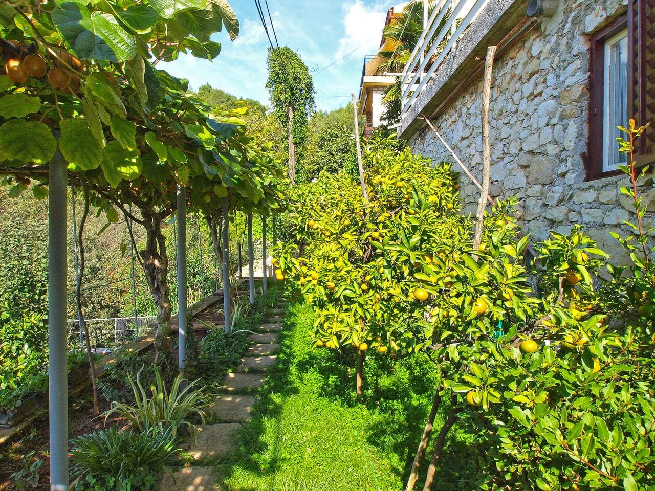 Foto 7 von 31: Ferienwohnung für 3 Personen mit Terrasse