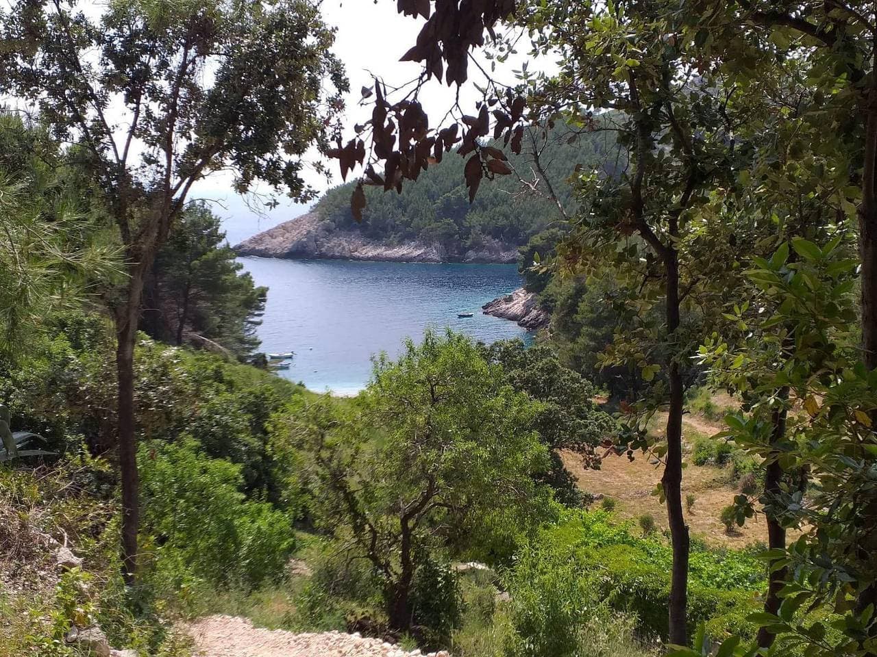 Foto 8 von 26: 1-Zimmer-Haus mit Terrasse und Meerblick Bucht Orlandusa, Korcula K-21104