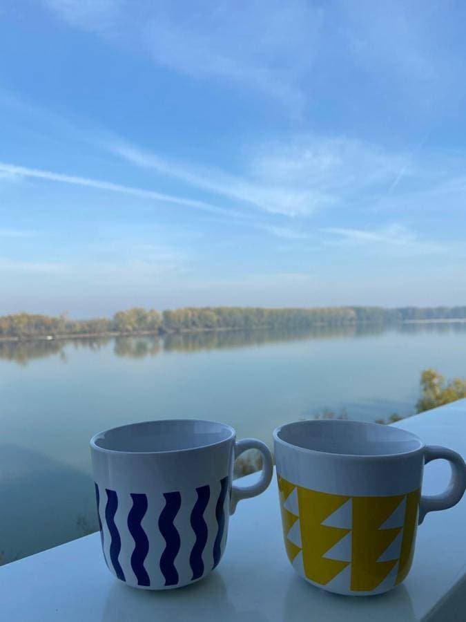 Danube 1