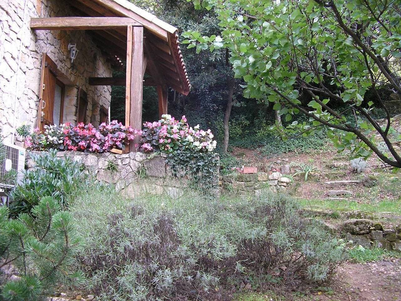 Foto 2 von 10: Le chêne vert 2