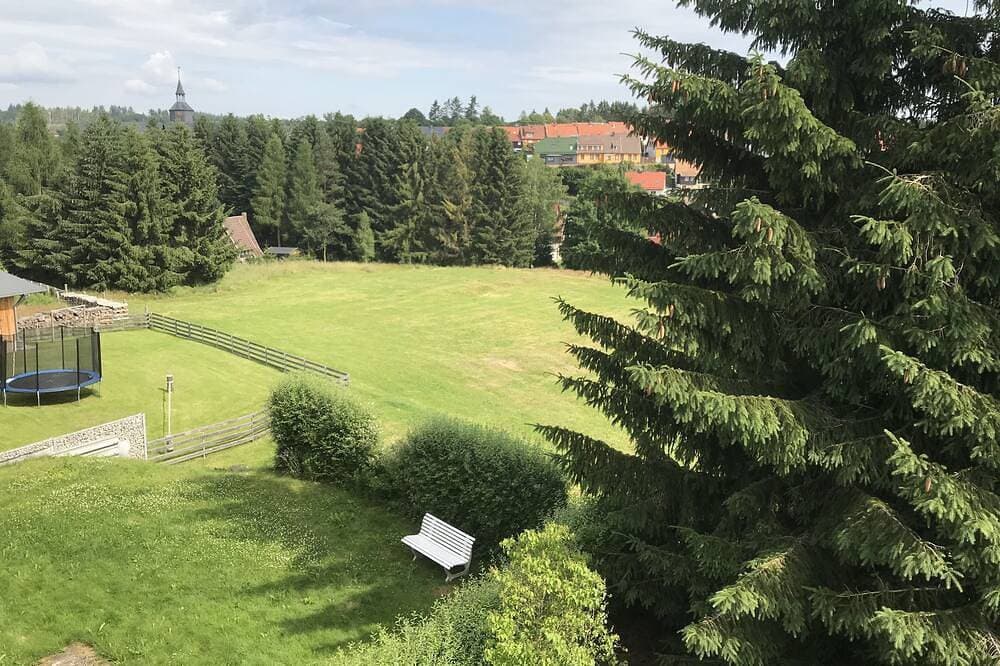 Ferienhaus „Oberharzruhe“ - Maisonett Wohn Tannenblick bis 7 P., 3 Schlaf Balkon 1