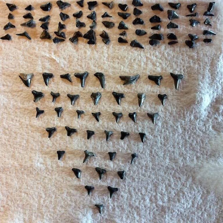Foto 8 von 24: Anna Maria Historisches Cottage am Strand (Maisonette)