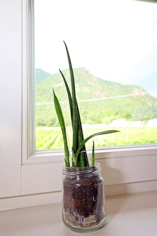 Foto 7 von 11: Double Room with Garden View