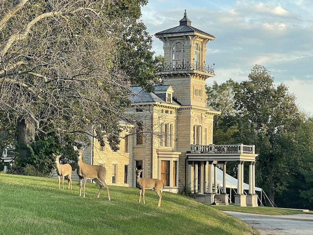 Foto 5 von 30: Renwick Mansion Guest House
