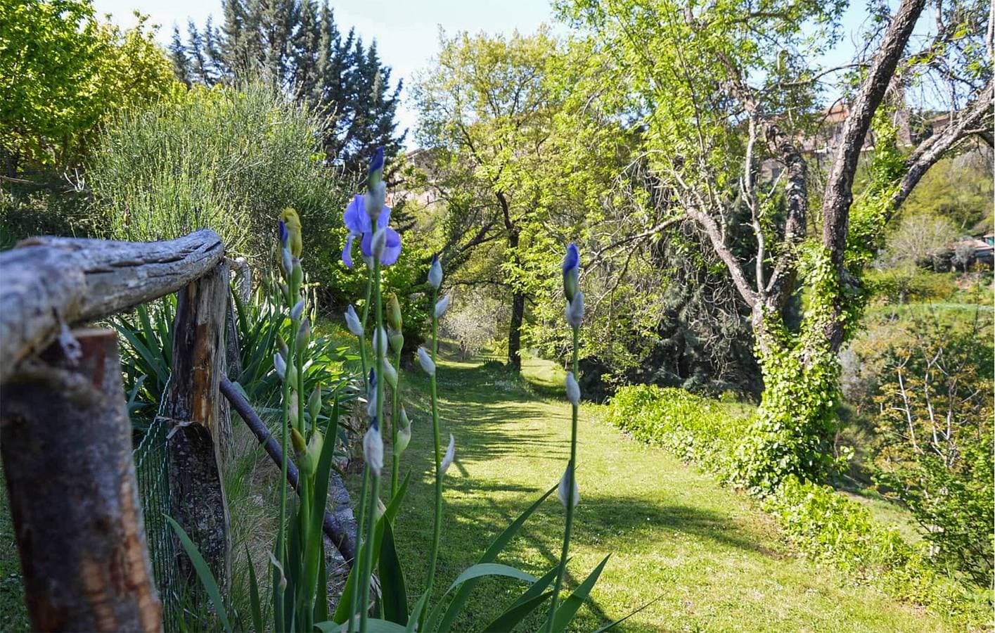 Foto 8 von 35: Idyllische 90 qm große Ferienwohnung mit Parkplatz, Garten und Pool in Paciano