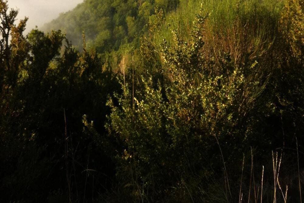 Foto 12 von 24: Einfamilienhaus auf geschlossenem Grundstück, beim Eingang Gorges du Verdon