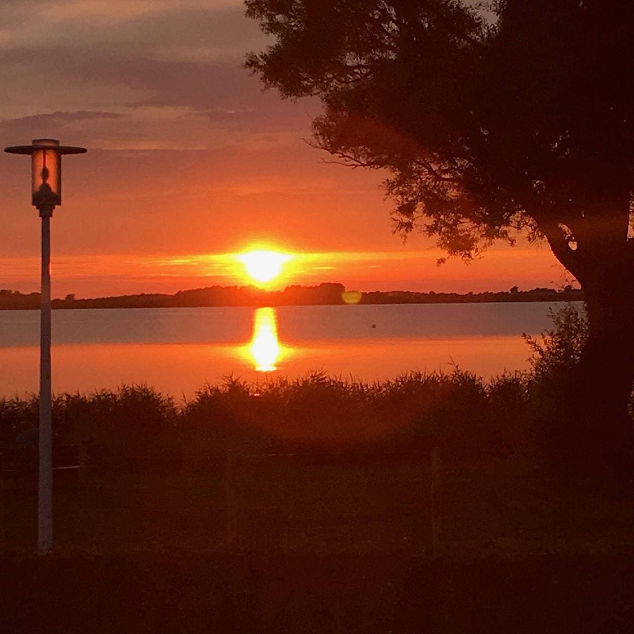 Foto 11 von 22: Fewo " Strandhaus Wiek " direkt am Wasser mit herrlichen Weitblick