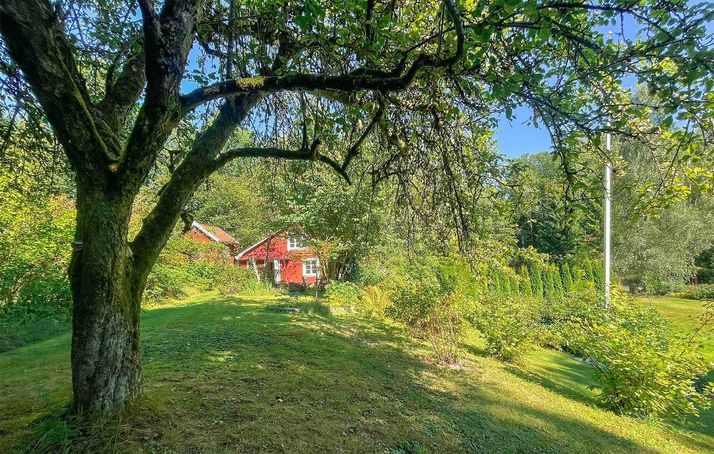 Foto 12 von 19: Ferienhaus für 5 Personen mit Garten