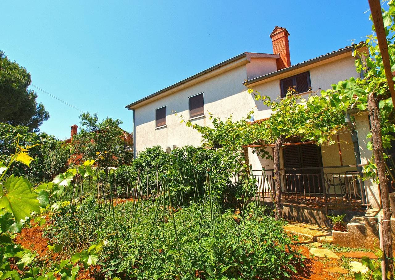 Foto 5 von 31: Ferienwohnung für 4 Personen mit Terrasse