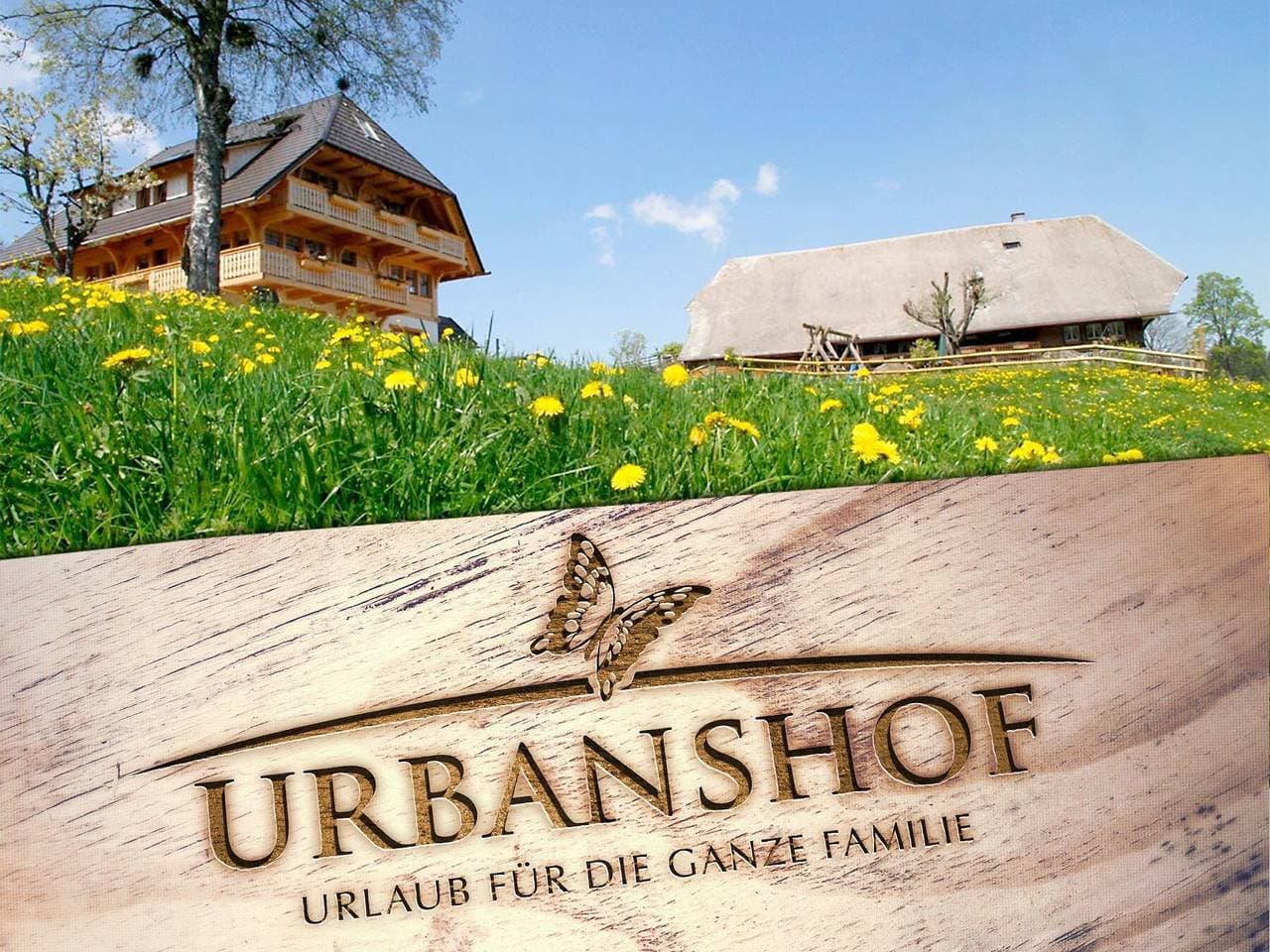 Urbanshof Herr Tobias Fehrenbach 1