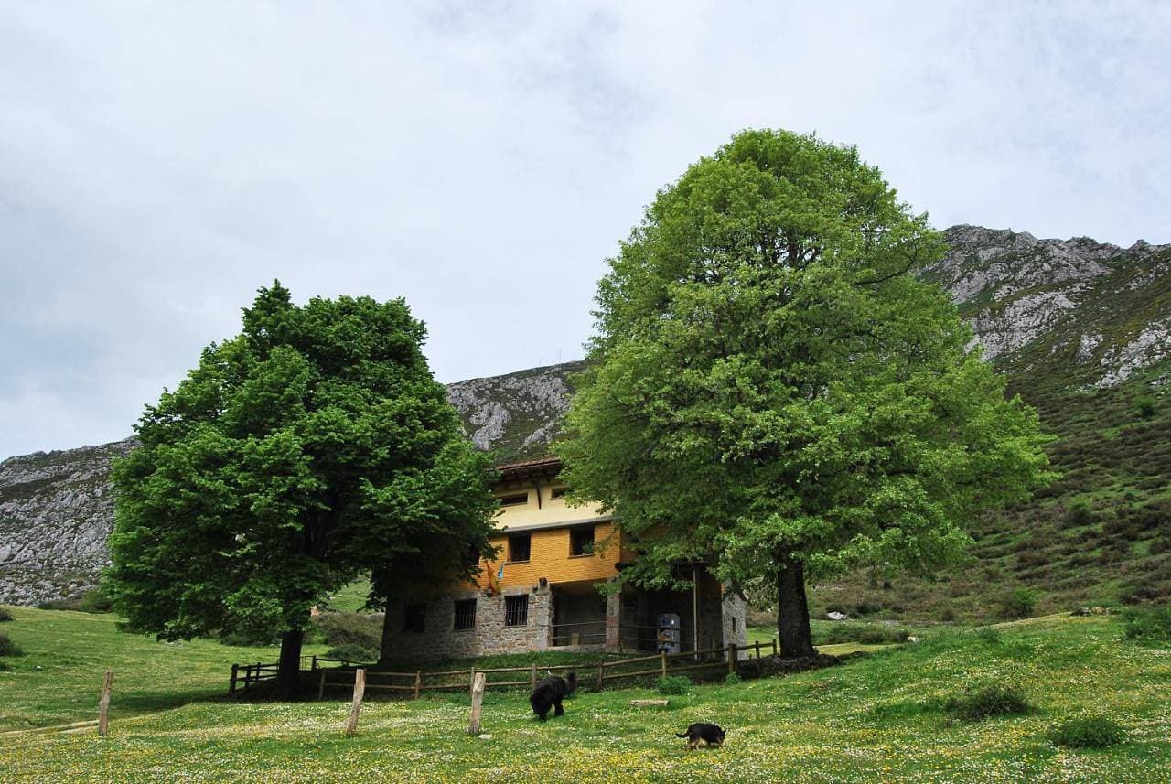 Albergue Fayacava 1