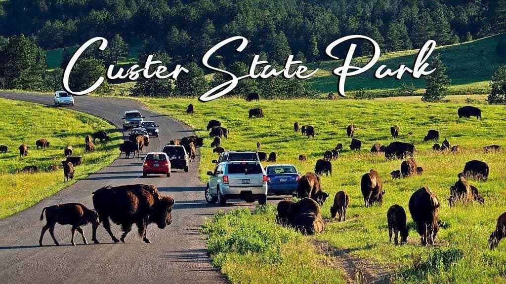 Foto 5 von 20: Cute Custer Cottage - Walk to restaurants and shopping