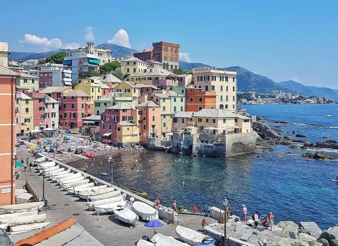 Il ciliegio di Miki 1