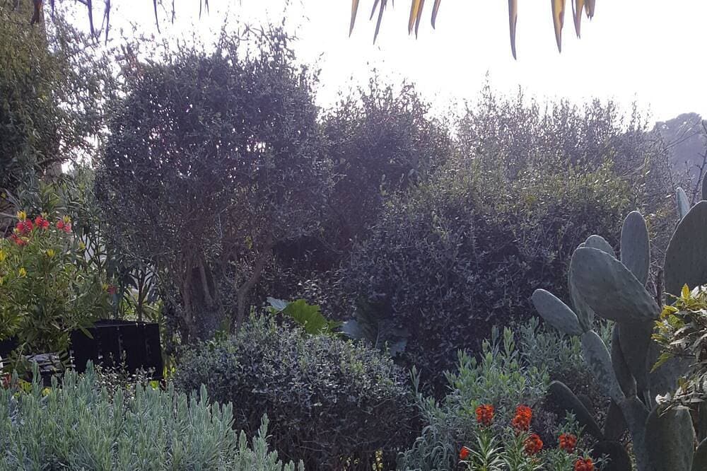 Foto 11 von 25: Apartment Mit Großem Terrazzo Und Garten In Ruhigem Italienischem Dorf