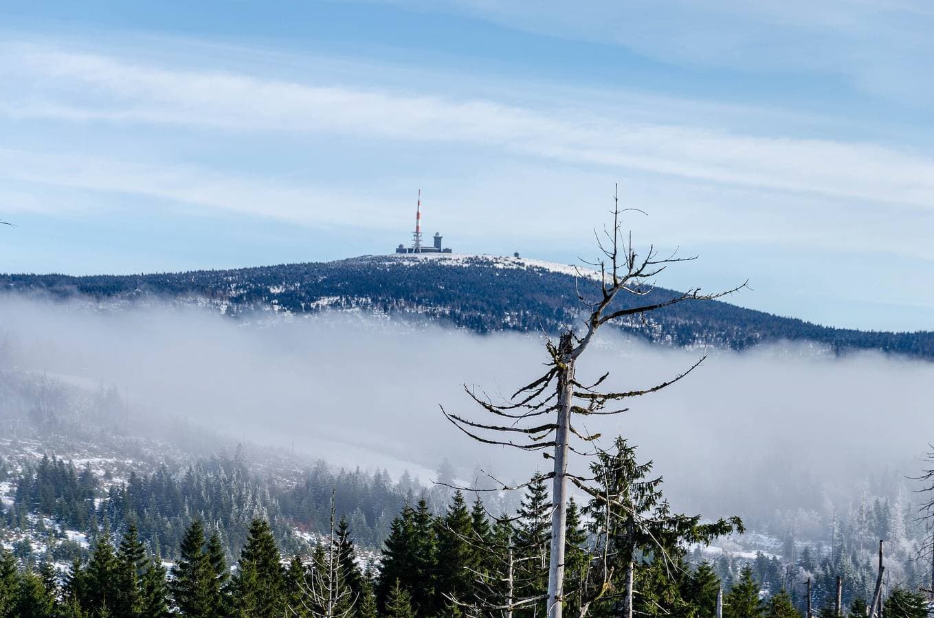 Foto 5 von 37: Ferienwohnung 'Harz Mit Elan' mit Bergblick, Balkon und Wi-Fi