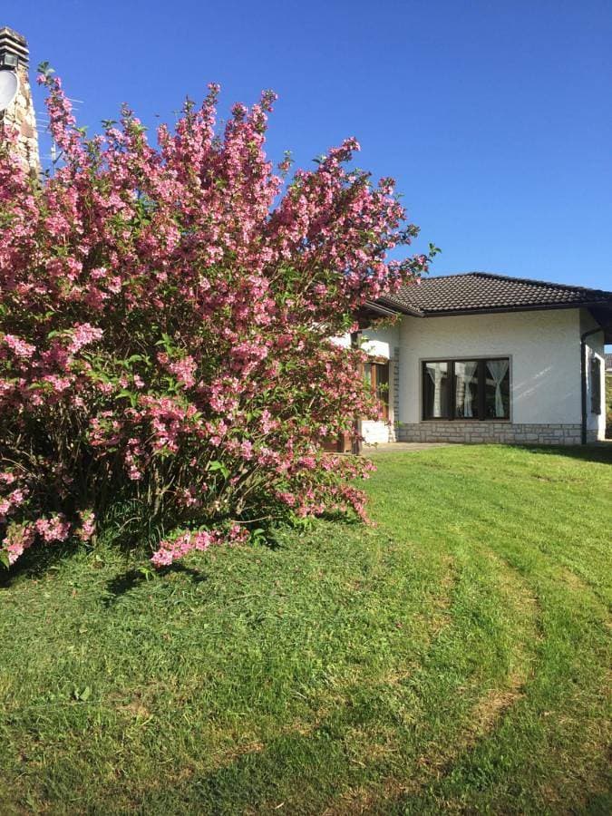 Foto 5 von 61: Holiday Home