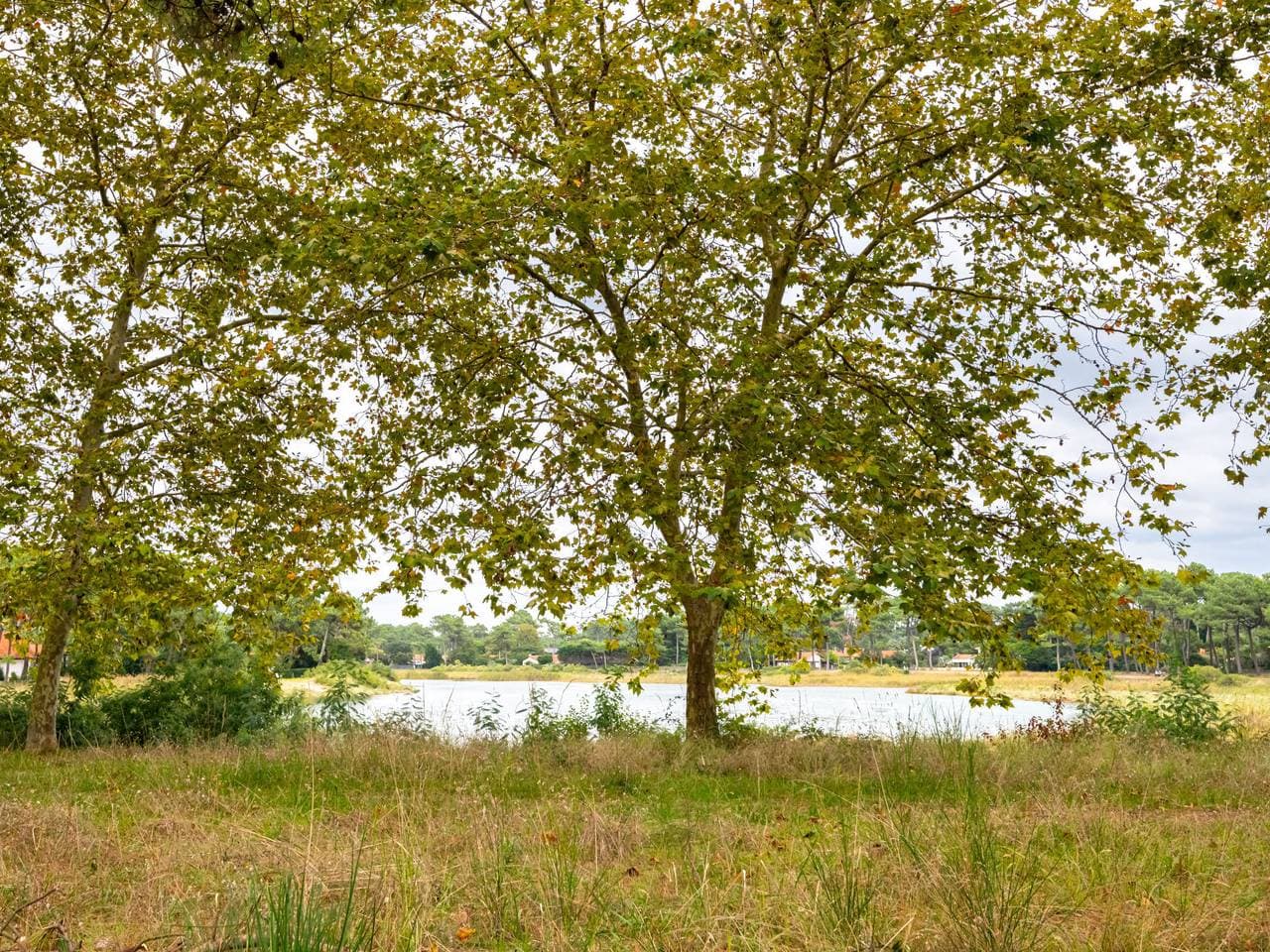 Foto 13 von 41: Hameau du courant